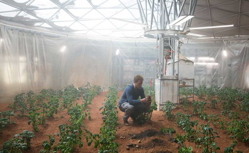 Matt Damon growing potatoes in the film The Martian